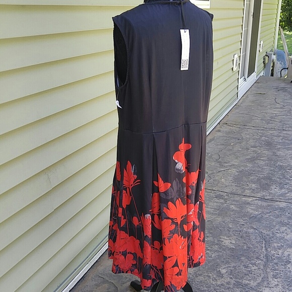 🌺Lily🌺 - Picture 2 of 7